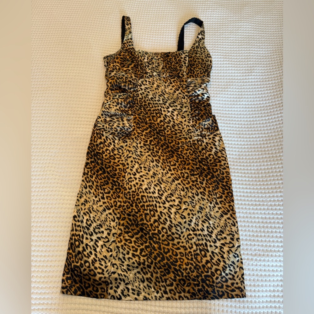 Leopard Print Women's Dress